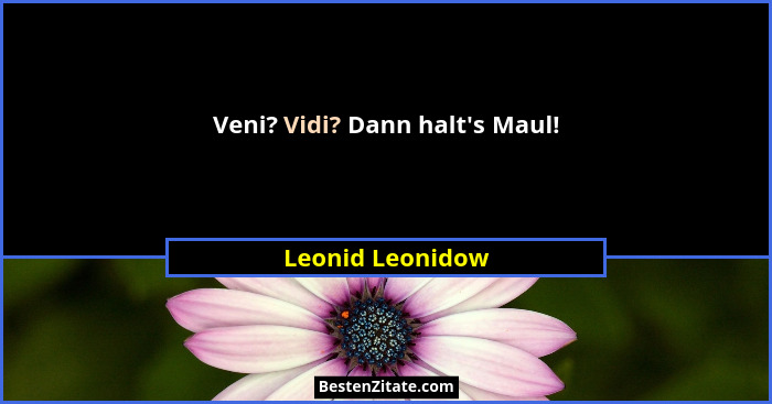 Veni? Vidi? Dann halt's Maul!... - Leonid Leonidow