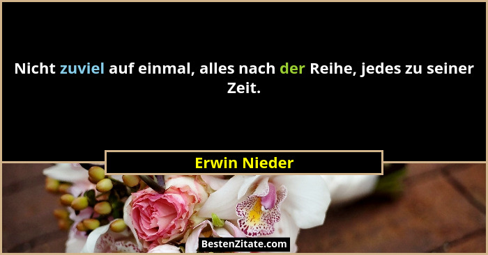 Nicht zuviel auf einmal, alles nach der Reihe, jedes zu seiner Zeit.... - Erwin Nieder