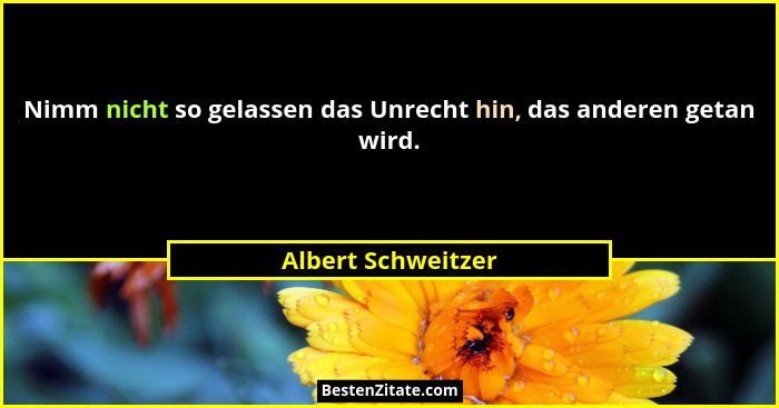 Nimm nicht so gelassen das Unrecht hin, das anderen getan wird.... - Albert Schweitzer