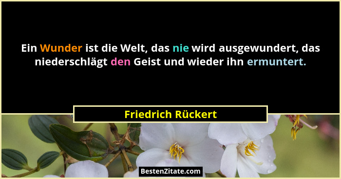 Ein Wunder ist die Welt, das nie wird ausgewundert, das niederschlägt den Geist und wieder ihn ermuntert.... - Friedrich Rückert