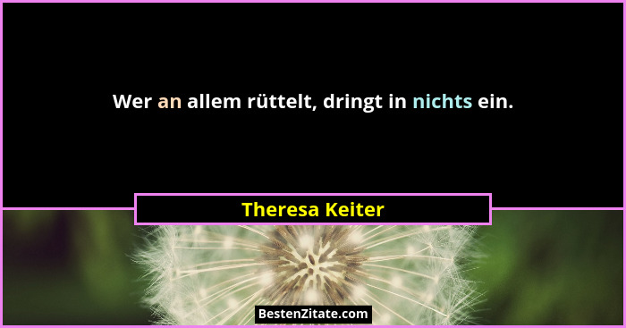 Wer an allem rüttelt, dringt in nichts ein.... - Theresa Keiter