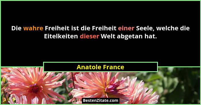 Die wahre Freiheit ist die Freiheit einer Seele, welche die Eitelkeiten dieser Welt abgetan hat.... - Anatole France