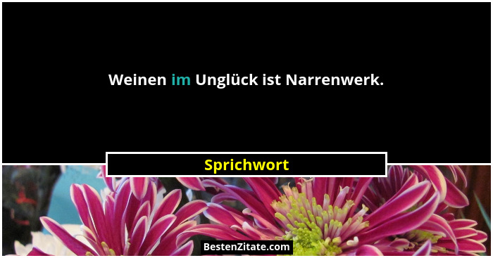 Weinen im Unglück ist Narrenwerk.... - Sprichwort