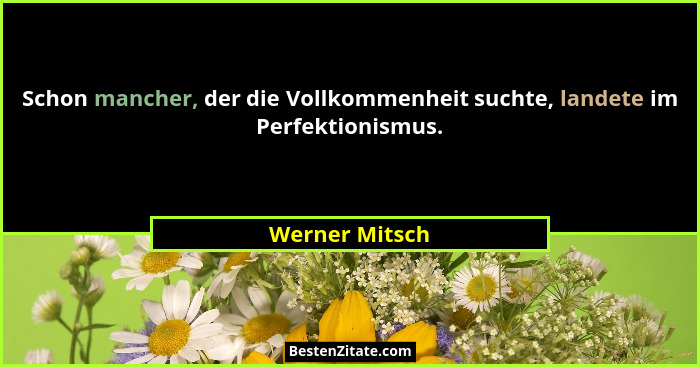 Schon mancher, der die Vollkommenheit suchte, landete im Perfektionismus.... - Werner Mitsch