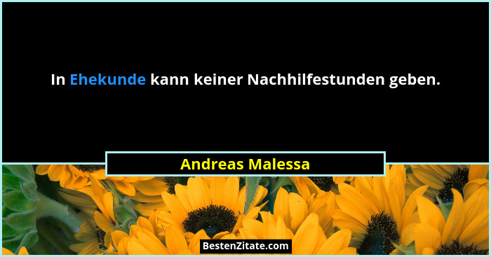 In Ehekunde kann keiner Nachhilfestunden geben.... - Andreas Malessa