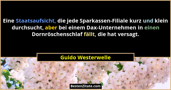 Eine Staatsaufsicht, die jede Sparkassen-Filiale kurz und klein durchsucht, aber bei einem Dax-Unternehmen in einen Dornröschensch... - Guido Westerwelle