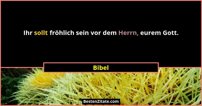 Ihr sollt fröhlich sein vor dem Herrn, eurem Gott.... - Bibel