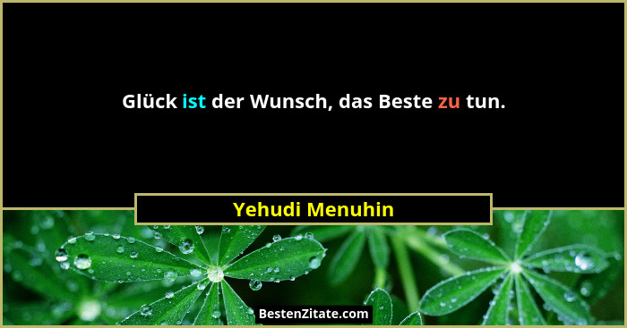 Glück ist der Wunsch, das Beste zu tun.... - Yehudi Menuhin