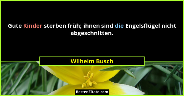 Gute Kinder sterben früh; ihnen sind die Engelsflügel nicht abgeschnitten.... - Wilhelm Busch