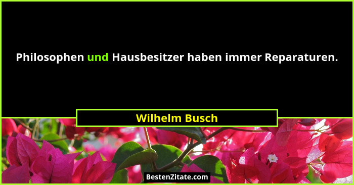 Philosophen und Hausbesitzer haben immer Reparaturen.... - Wilhelm Busch