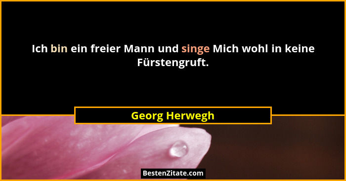 Ich bin ein freier Mann und singe Mich wohl in keine Fürstengruft.... - Georg Herwegh