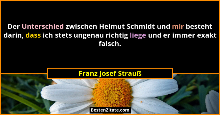 Der Unterschied zwischen Helmut Schmidt und mir besteht darin, dass ich stets ungenau richtig liege und er immer exakt falsch.... - Franz Josef Strauß