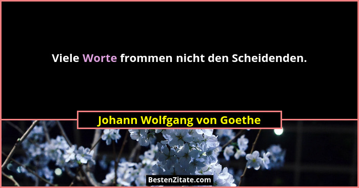 Viele Worte frommen nicht den Scheidenden.... - Johann Wolfgang von Goethe