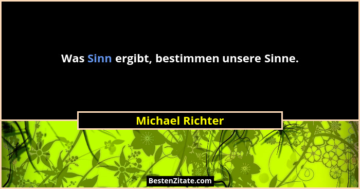 Was Sinn ergibt, bestimmen unsere Sinne.... - Michael Richter