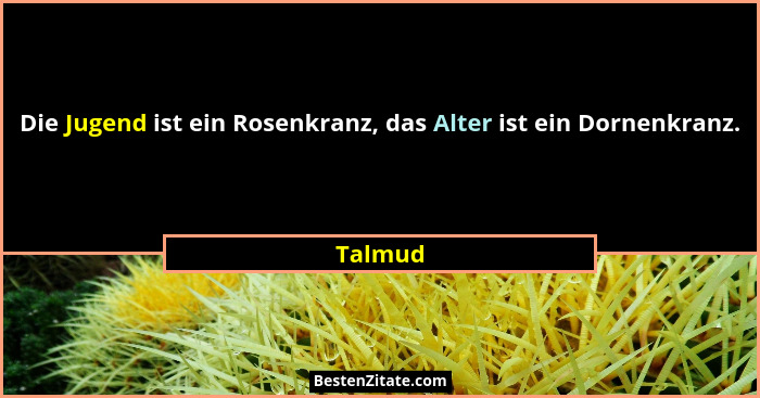 Die Jugend ist ein Rosenkranz, das Alter ist ein Dornenkranz.... - Talmud