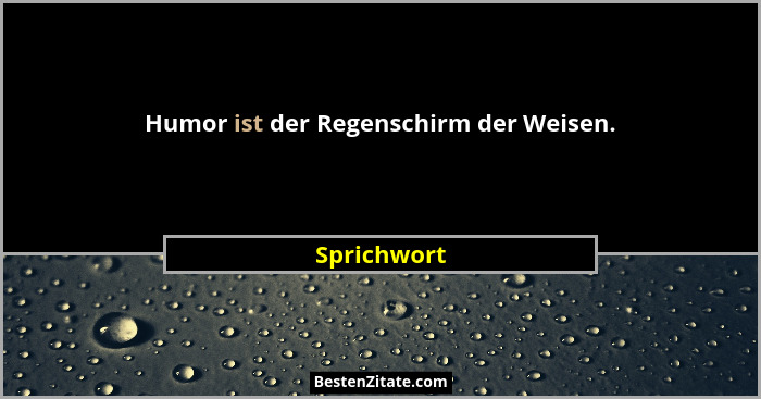 Humor ist der Regenschirm der Weisen.... - Sprichwort