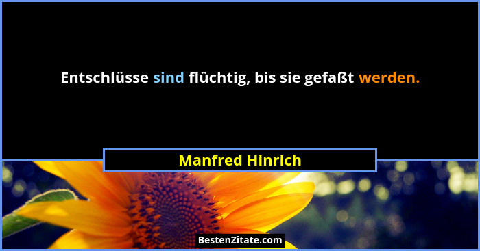 Entschlüsse sind flüchtig, bis sie gefaßt werden.... - Manfred Hinrich