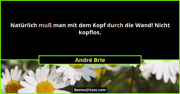 Natürlich muß man mit dem Kopf durch die Wand! Nicht kopflos.... - André Brie