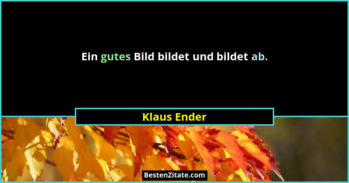 Ein gutes Bild bildet und bildet ab.... - Klaus Ender