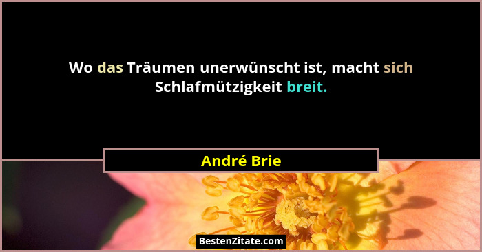 Wo das Träumen unerwünscht ist, macht sich Schlafmützigkeit breit.... - André Brie