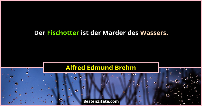 Der Fischotter ist der Marder des Wassers.... - Alfred Edmund Brehm