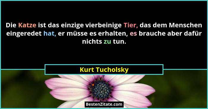 Die Katze ist das einzige vierbeinige Tier, das dem Menschen eingeredet hat, er müsse es erhalten, es brauche aber dafür nichts zu tu... - Kurt Tucholsky