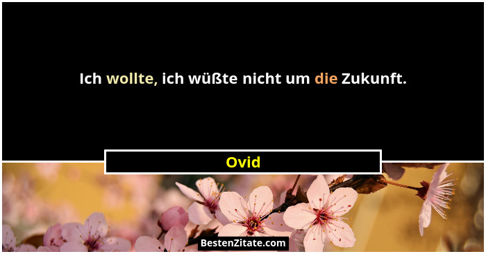 Ich wollte, ich wüßte nicht um die Zukunft.... - Ovid