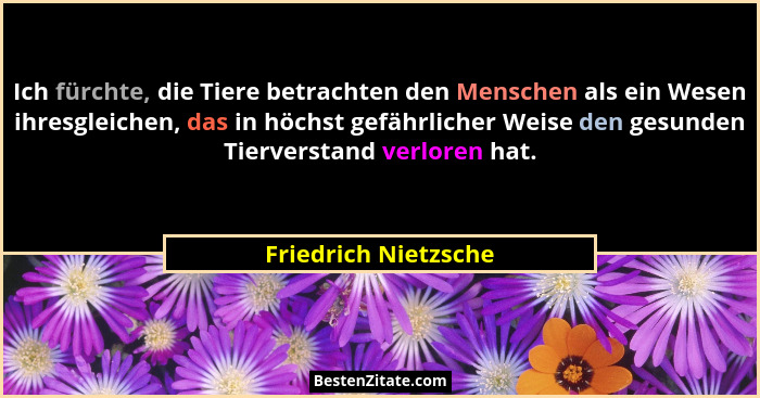 Ich fürchte, die Tiere betrachten den Menschen als ein Wesen ihresgleichen, das in höchst gefährlicher Weise den gesunden Tierve... - Friedrich Nietzsche