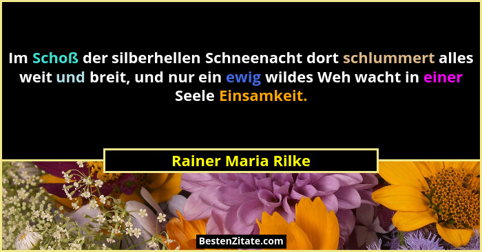 Im Schoß der silberhellen Schneenacht dort schlummert alles weit und breit, und nur ein ewig wildes Weh wacht in einer Seele Eins... - Rainer Maria Rilke