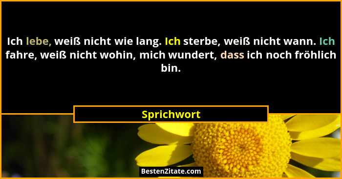 Ich lebe, weiß nicht wie lang. Ich sterbe, weiß nicht wann. Ich fahre, weiß nicht wohin, mich wundert, dass ich noch fröhlich bin.... - Sprichwort