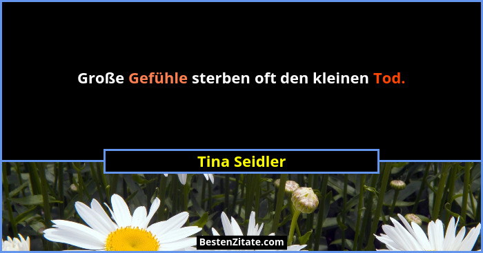 Große Gefühle sterben oft den kleinen Tod.... - Tina Seidler