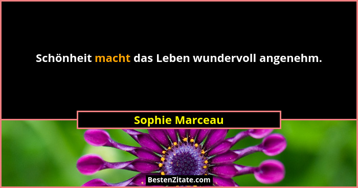 Schönheit macht das Leben wundervoll angenehm.... - Sophie Marceau