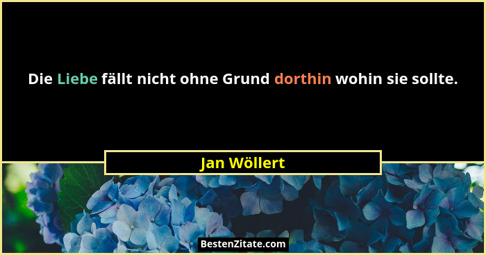 Die Liebe fällt nicht ohne Grund dorthin wohin sie sollte.... - Jan Wöllert