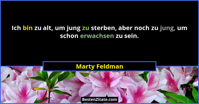 Ich bin zu alt, um jung zu sterben, aber noch zu jung, um schon erwachsen zu sein.... - Marty Feldman