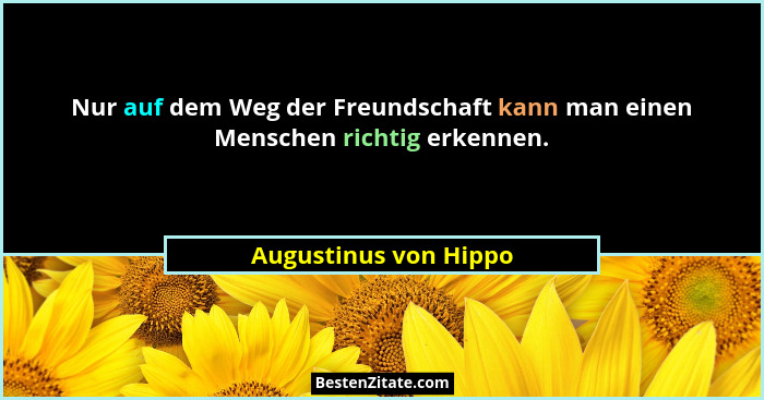 Nur auf dem Weg der Freundschaft kann man einen Menschen richtig erkennen.... - Augustinus von Hippo