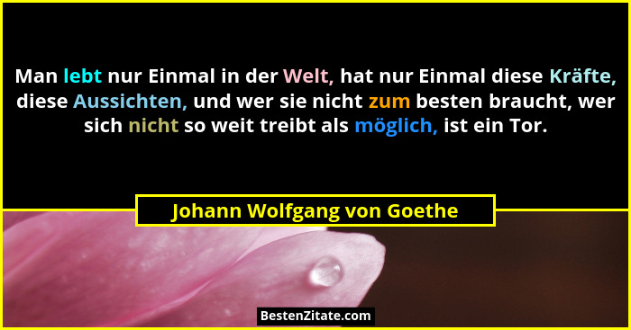 Man lebt nur Einmal in der Welt, hat nur Einmal diese Kräfte, diese Aussichten, und wer sie nicht zum besten braucht, wer... - Johann Wolfgang von Goethe