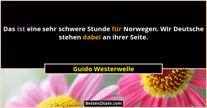 Das ist eine sehr schwere Stunde für Norwegen. Wir Deutsche stehen dabei an ihrer Seite.... - Guido Westerwelle